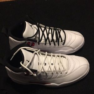 Air Jordan 12 retro twist